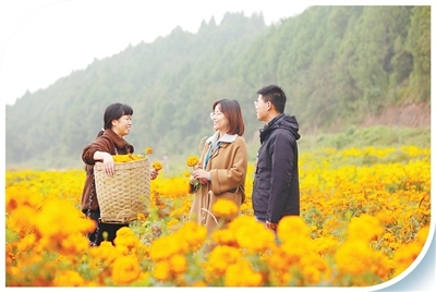 以監督實效回報群眾信任（前沿觀察）