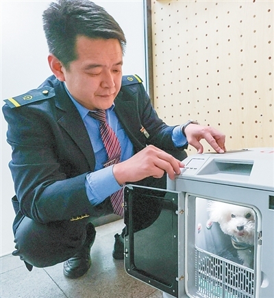 春运图景不断焕新（新时代画卷）