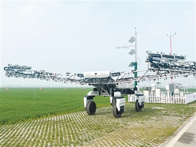 抢春分 抓田管 越关口（春耕里的新质生产力）