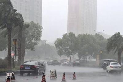 D3665列车乘客称多人疑似晕厥 极端天气引发接触网故障