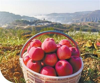 向每一位治沙人致敬 绿染黄沙代代传