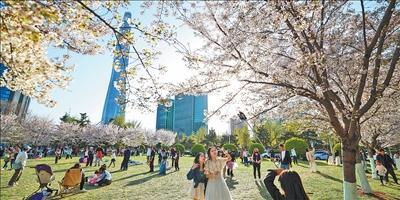 一路春光 一路繁花