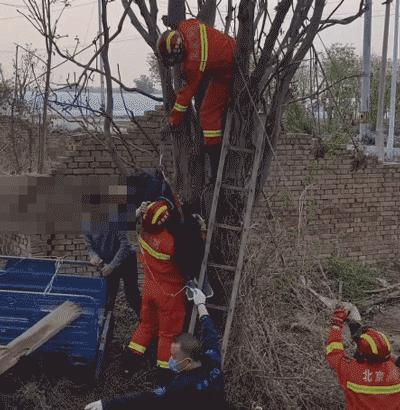 男子爬树被卡倒挂7个多小时 消防紧急救援
