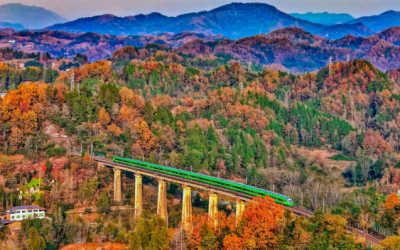 当列车遇上深秋，画面绝美！