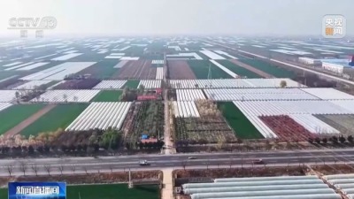 新型农机田间“上岗” 育秧播种按下加速键