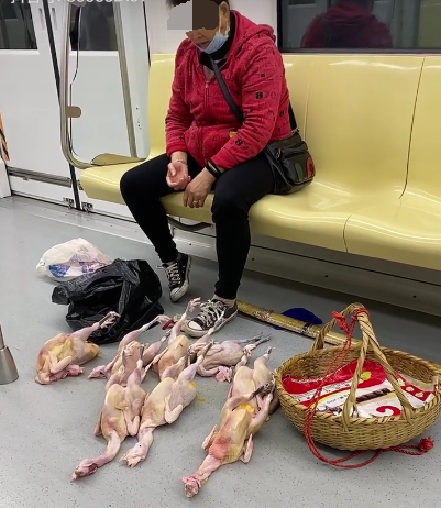 网传大妈在地铁内卖鸡，南京地铁：违规，将调查