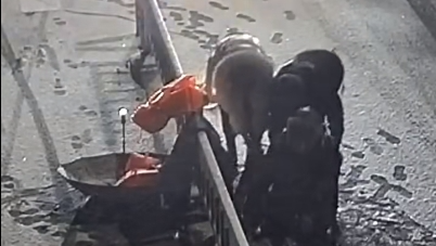 6岁儿子目睹妈妈雪夜救人全程夸赞：妈妈真棒！