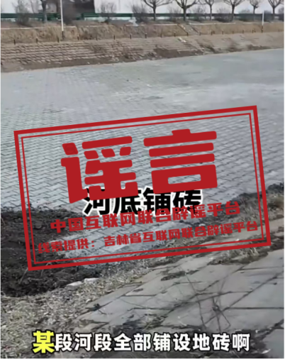 今日辟謠（2025年11月18日）