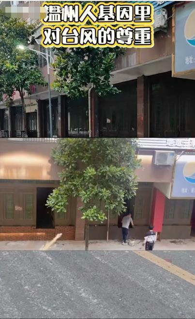 温州商铺老板为挡台风砌了一堵墙 严阵以待防风防汛