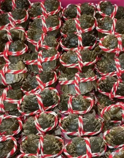 5元1只?大闸蟹“崩盘”了吗 价格分化显现