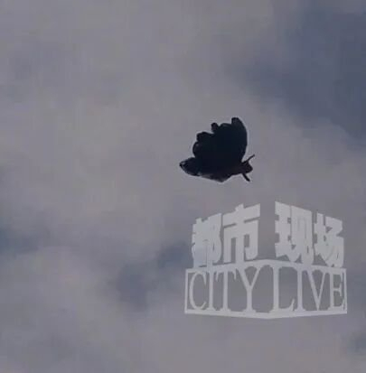 包头禁飞区现蝴蝶状飞行物