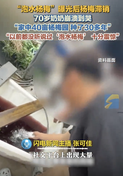 杨梅滞留树上 70岁奶奶崩溃哭了