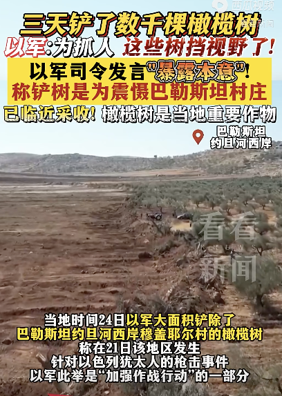 以军大量铲除巴勒斯坦人的橄榄树