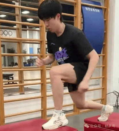 国乒WTT美国大满贯赛前训练画面公开