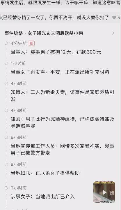 狗被砍女子称一定要离婚！男子被拘12天罚300