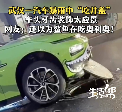 武漢暴雨街頭有車“吃井蓋” 鯊魚吃奧利奧走紅