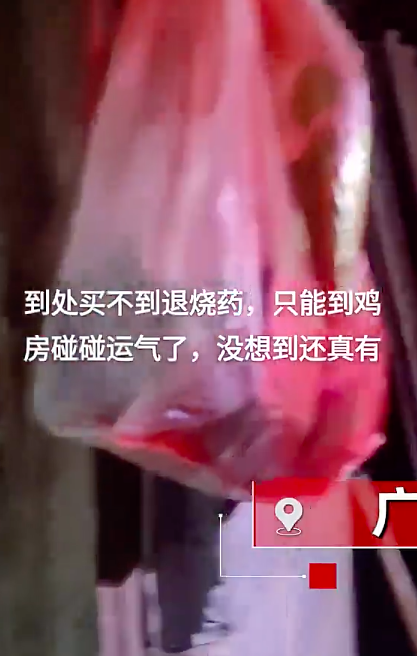 男子没买到退烧药，在家养鸡房找到1年前喂鸡剩的药，竟有意外收获