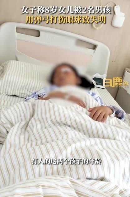 女童被弹弓打致失明后续 派出所：已立案处理