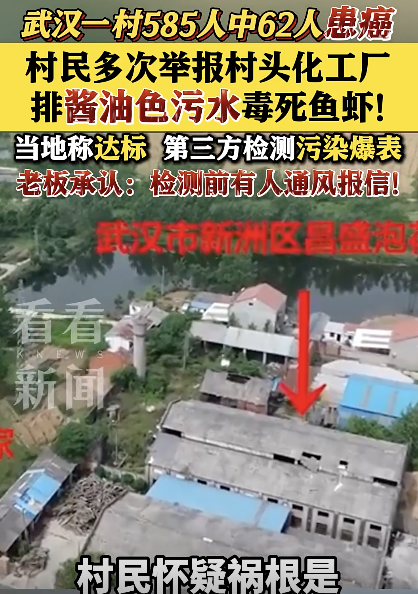 村头化工厂酱油色污水致鱼虾全死 村民癌症频发引担忧