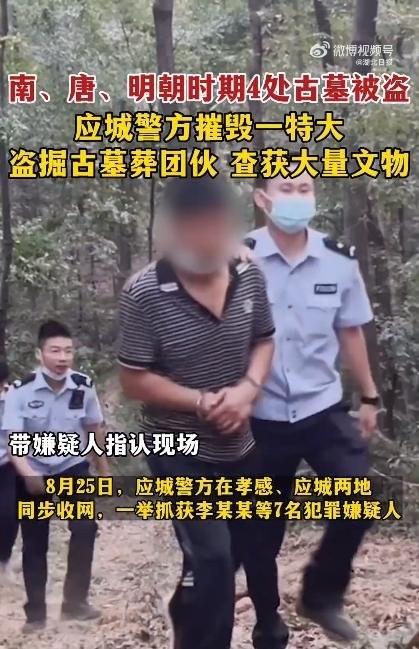男子为盗古墓先种庄稼