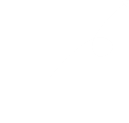 特朗普是否會(huì)對(duì)馬斯克“趕盡殺絕” 政府效率部成焦點(diǎn)