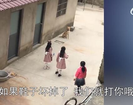 视频截图