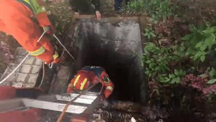 巴西女子遛狗不慎跌入下水道 深井危险需警惕