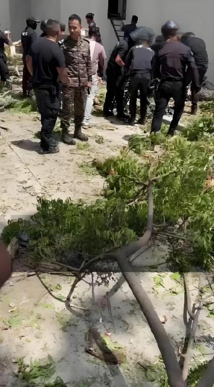 印墜機幸存者逃生畫面：從黑煙中走出 11A座位的生死玄機