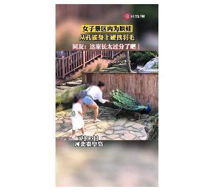 晚报|海地第一夫人首发声 云南一学生被打后坠亡