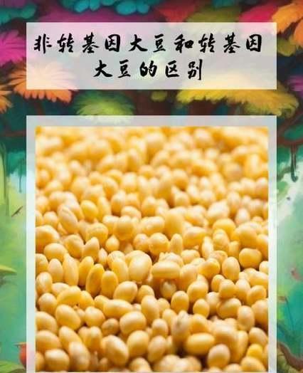 日本计划用购买美豆做日美谈判筹码 贸易博弈加剧