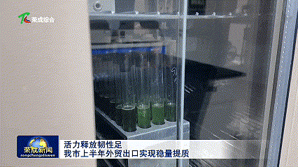 活力释放韧性足！上半年威海荣成外贸交出亮眼出口答卷