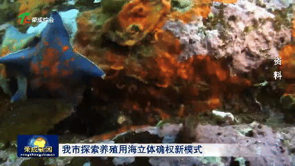 威海荣成探索养殖用海立体确权新模式