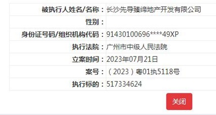 国美控股集团等被强执 执行标的超5亿元