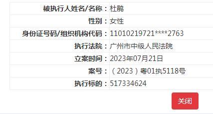 国美控股集团等被强执 执行标的超5亿元