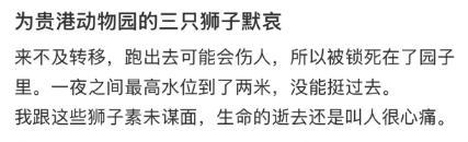 洪水锁笼狮子死亡 动物园不该被指责