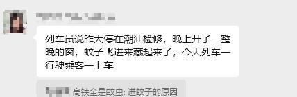 网友称高铁上蚊虫泛滥坐立难安 乘客要求补偿下车