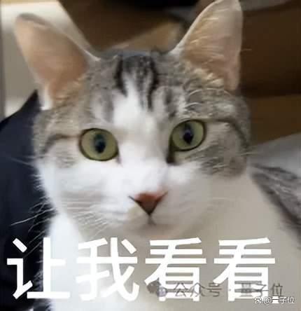 龙虾之父推荐了两款国产模型 PinchBench榜单引关注