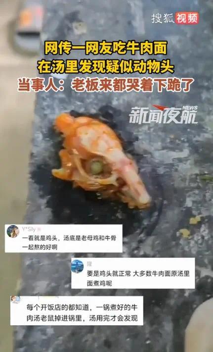 顾客在牛肉面里发现疑似动物头