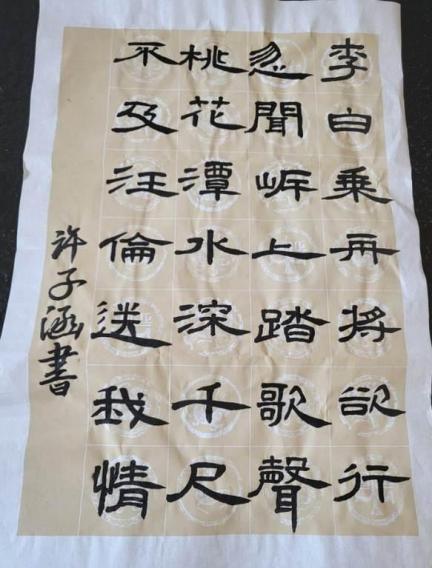 焦作市山陽區焦東路小學-許子涵