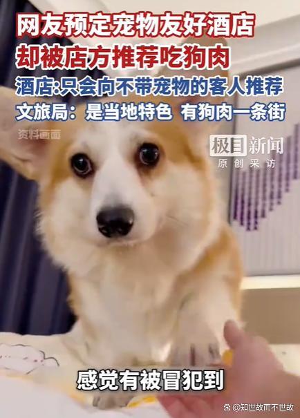 网友订宠物友好酒店 店方推荐吃狗肉 宠物友好还是地方特色？