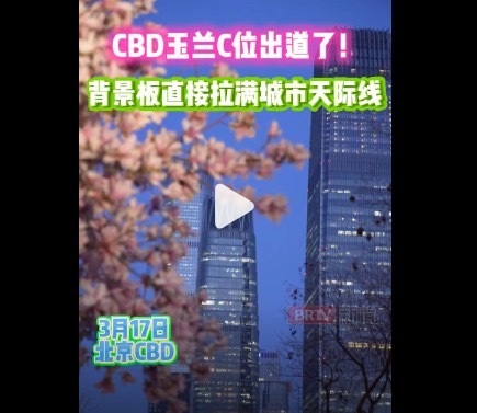 玉兰与国贸同框蓝调北京氛围感拉满