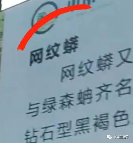 景区回应园内网纹蟒变“网纹猫” 蟒最近在冬眠