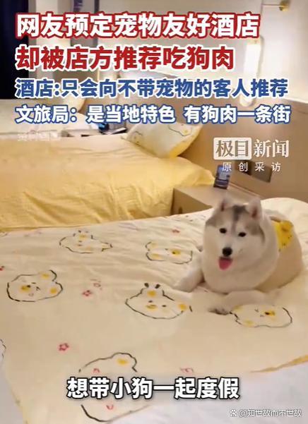 文旅局回应宠物友好酒店推荐吃狗肉 价值观冲突引热议
