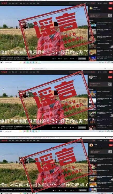 “南阳唐河小麦开始收割了”系谣言