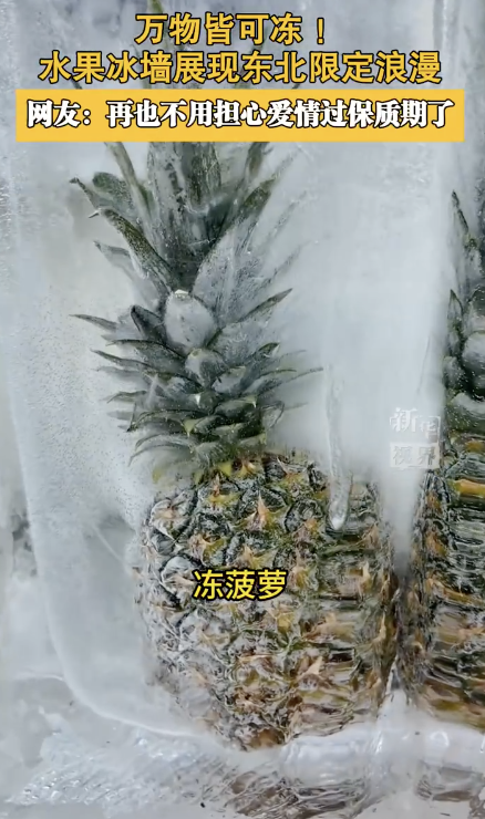 原来东北除了玫瑰冰瀑还有水果冰墙