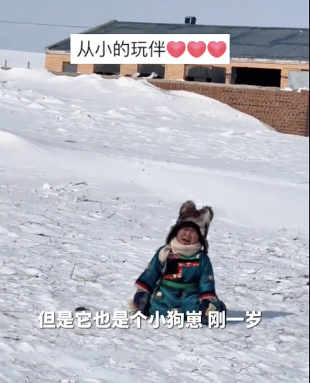 狗狗在雪地和3岁小主人玩闹 有爱互动惹人笑