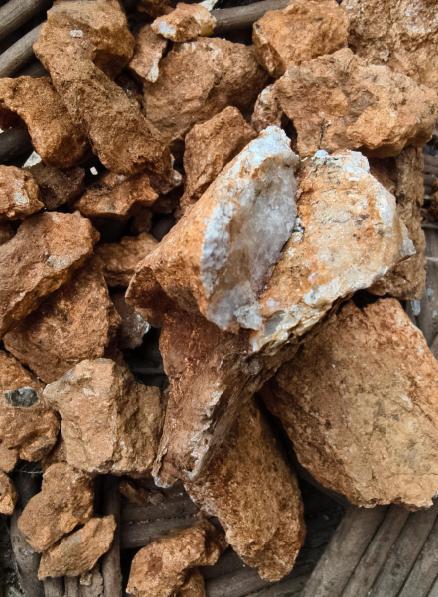 8岁男孩爬山识草预判山下藏金矿 AI验证引关注