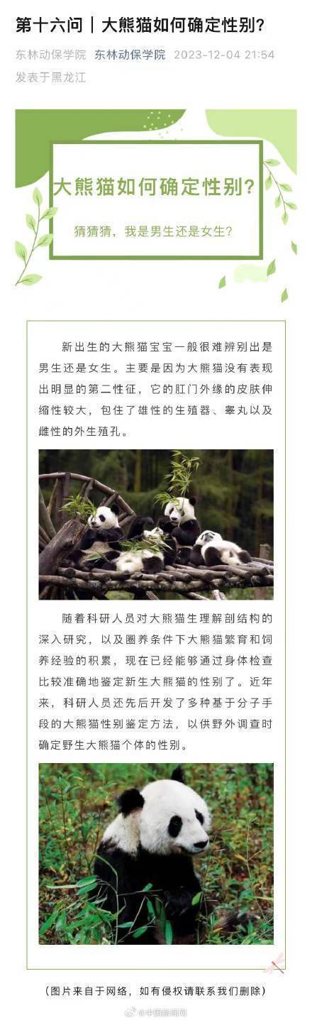 熊猫性别怎么区分为什么难识别 熊猫性别会变化吗？