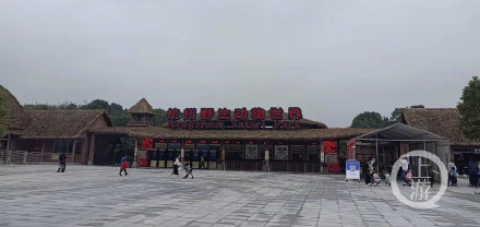瞒豹风波后杭州野生动物世界重开 游客还买账吗？