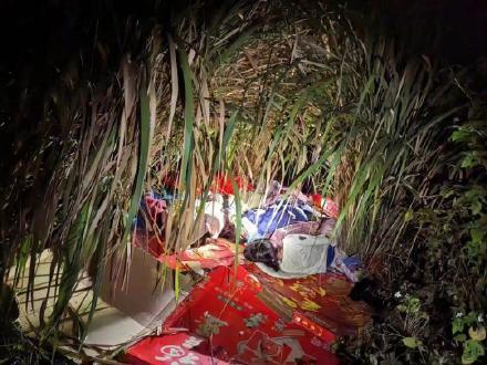 失踪4姐弟凌晨被发现在芦苇丛睡觉 警察找了7个小时